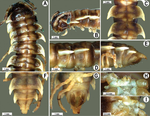 Figure 103.