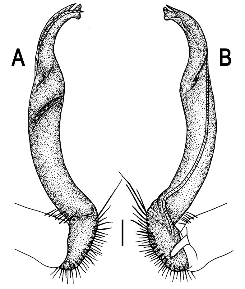 Figure 68.