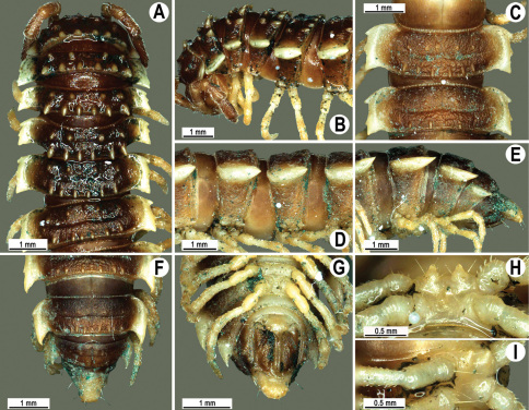 Figure 16.