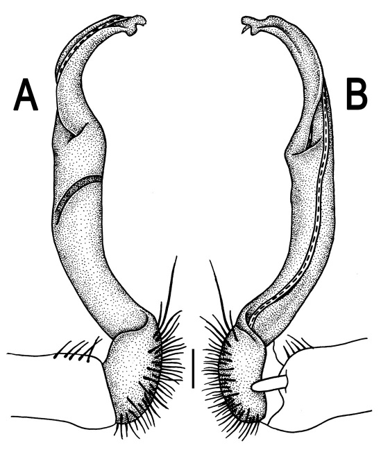 Figure 30.