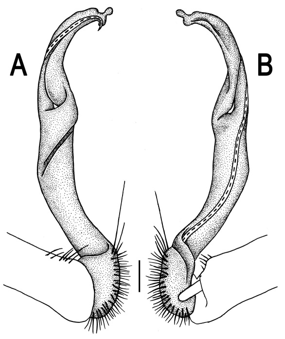 Figure 33.