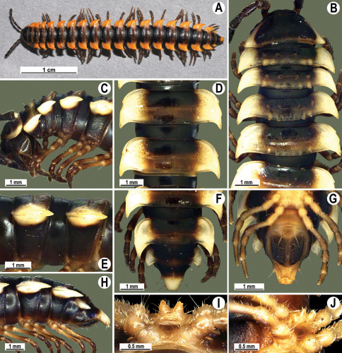 Figure 28.