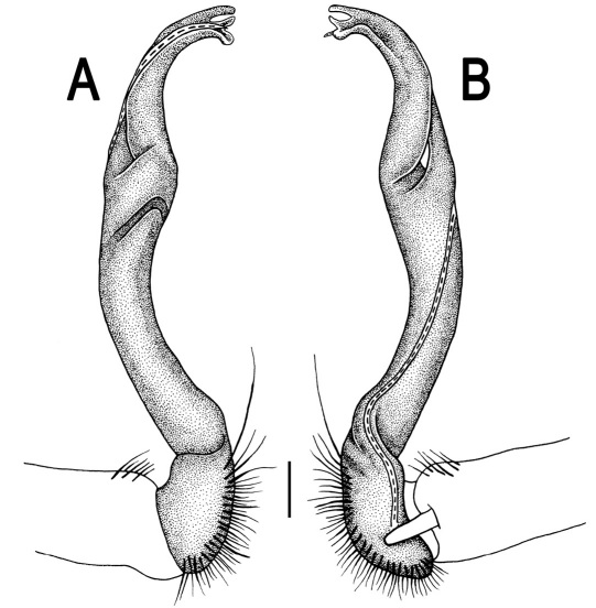 Figure 102.