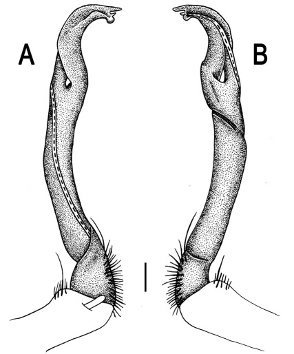 Figure 76.