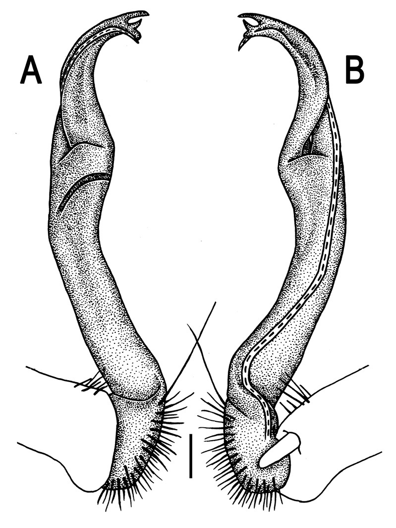 Figure 85.