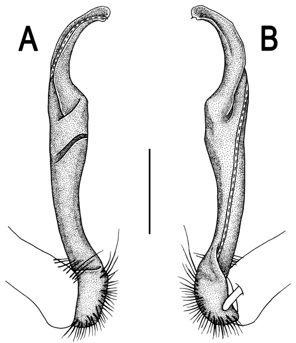 Figure 18.