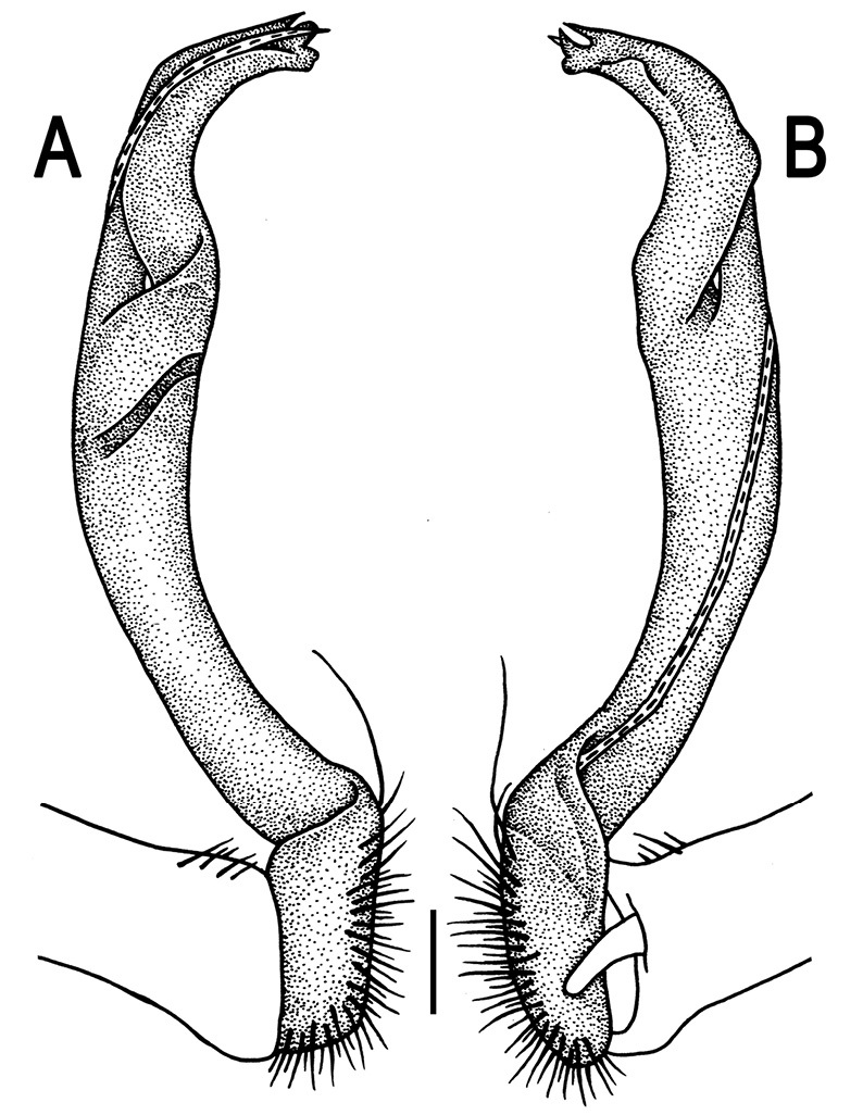 Figure 71.