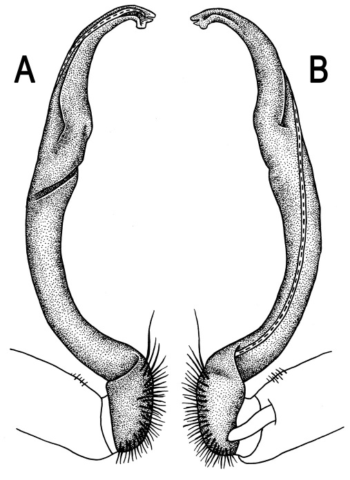 Figure 44.