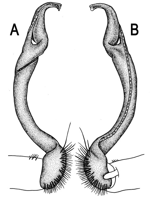 Figure 42.