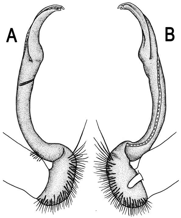 Figure 50.