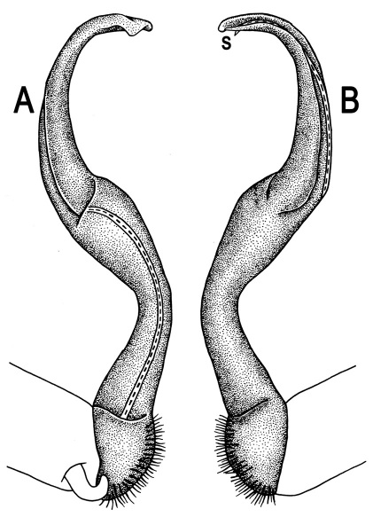 Figure 117.