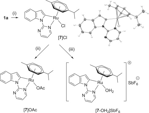 Scheme 6