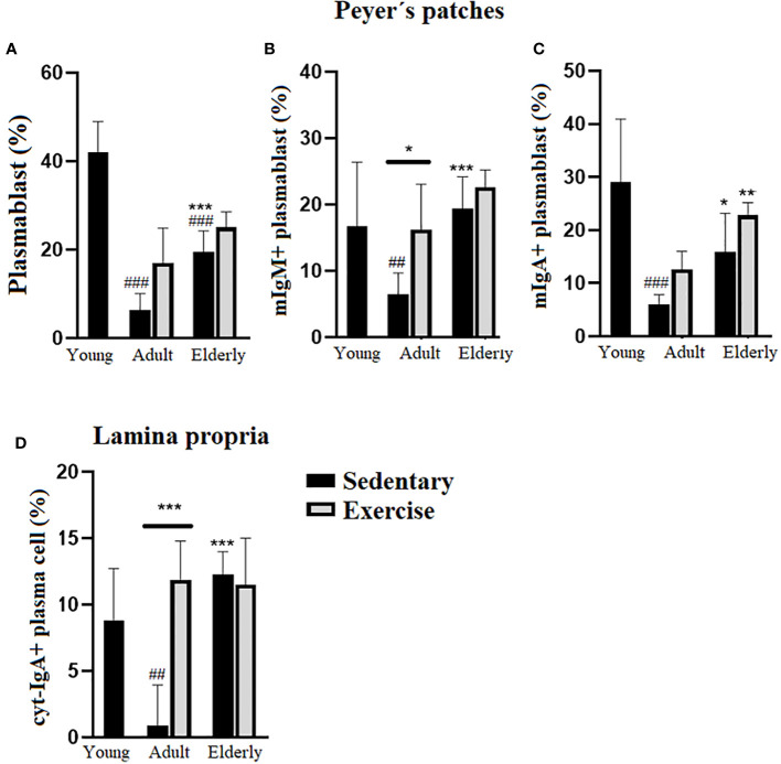 Figure 3