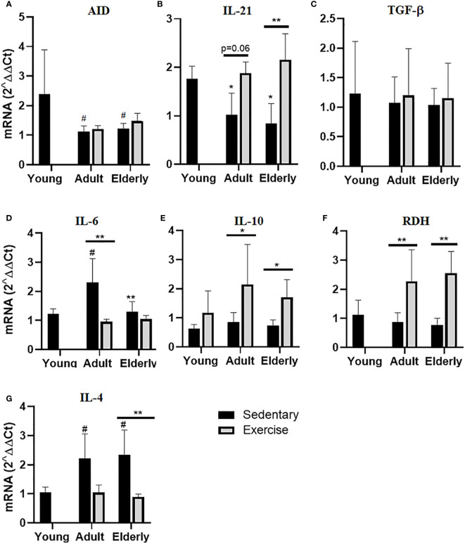 Figure 4