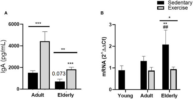 Figure 1