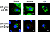 FIG. 9.