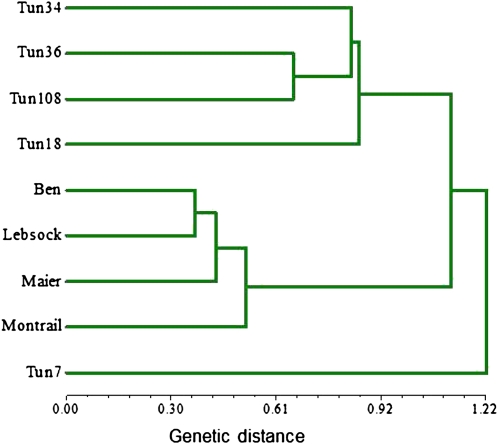 Figure 3 