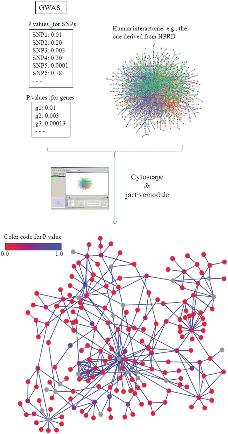 Figure 4: