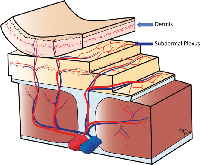 Fig. 3.