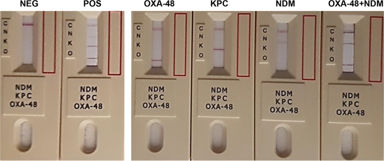 FIG 1