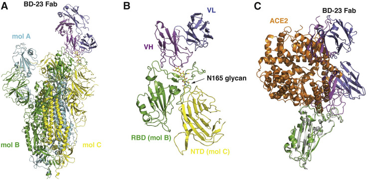 Figure 4