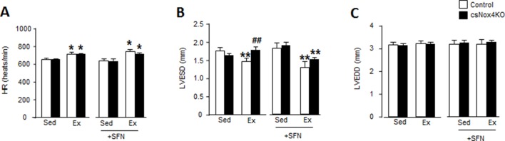 Figure 2—figure supplement 1.