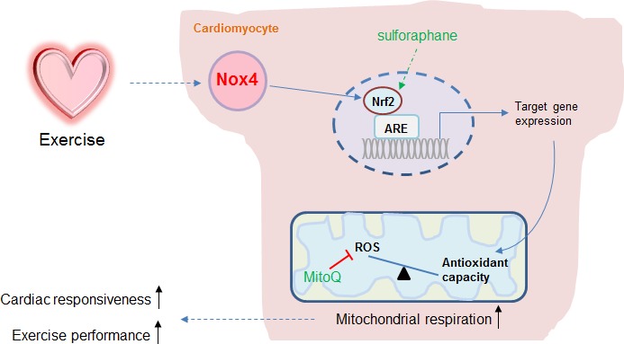 Figure 5.