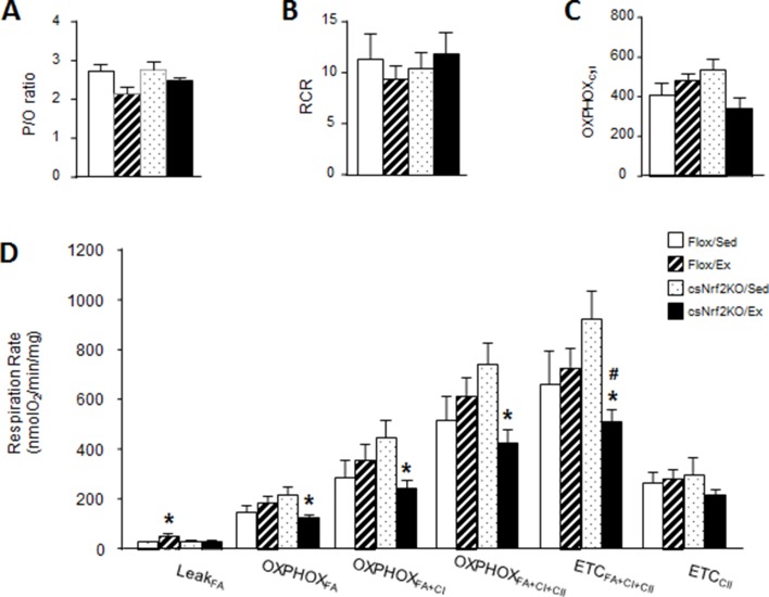 Figure 3—figure supplement 3.