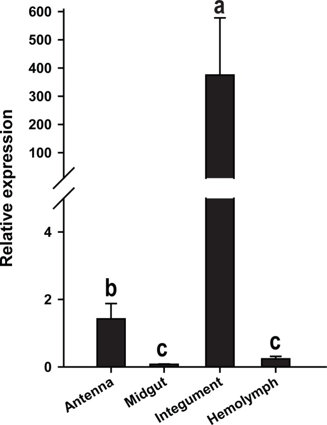 Figure 2—figure supplement 1.