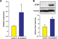 Figure 3—figure supplement 2.