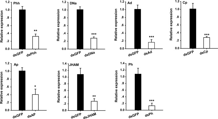 Figure 1—figure supplement 2.