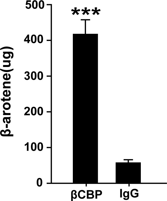 Figure 5—figure supplement 1.