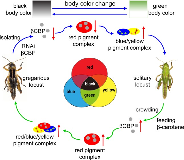 Figure 6.