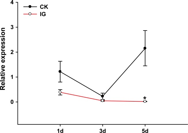 Figure 2—figure supplement 2.