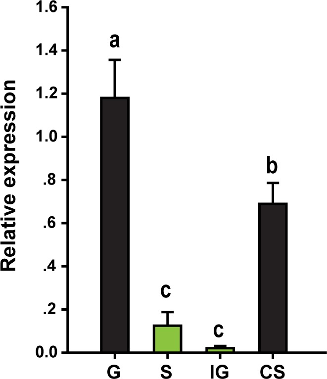 Figure 2—figure supplement 3.