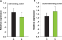 Figure 6—figure supplement 1.