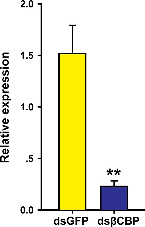 Figure 3—figure supplement 1.