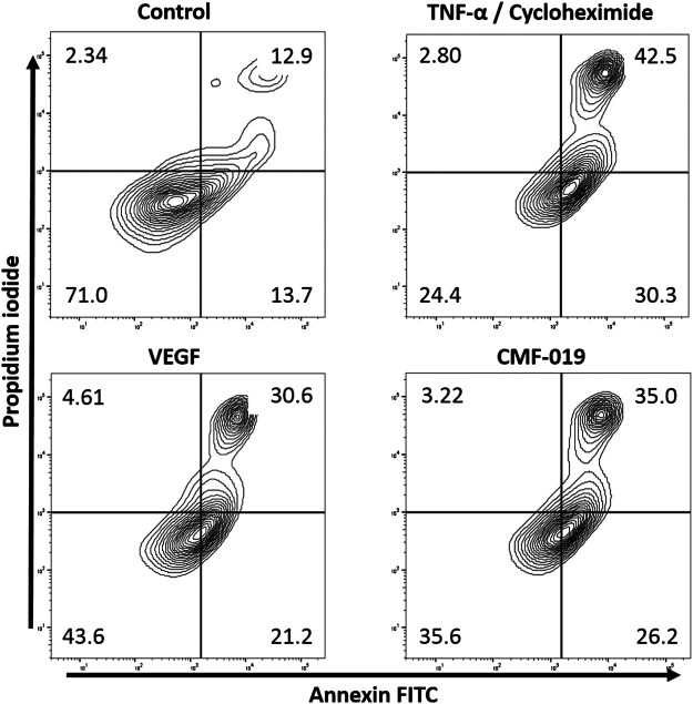 FIGURE 2