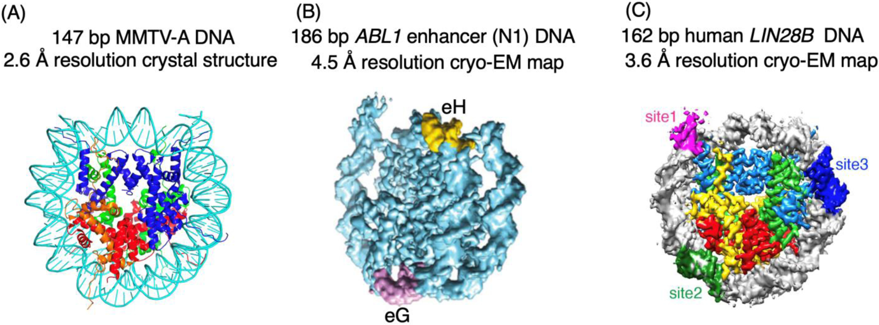 Figure 2.