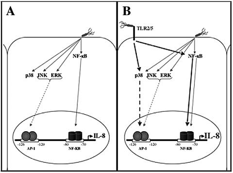 FIG. 7.