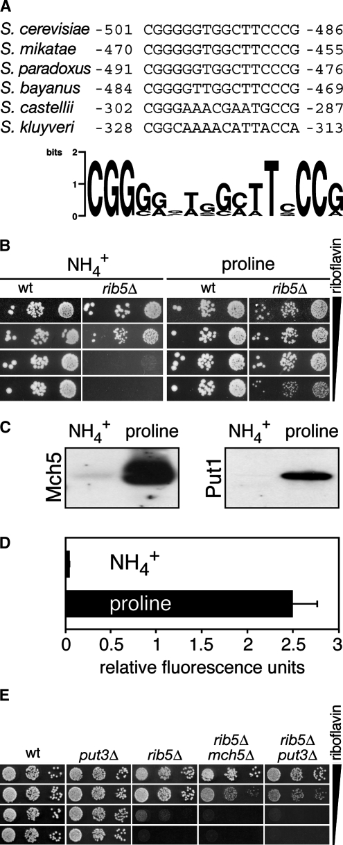 Figure 3.—