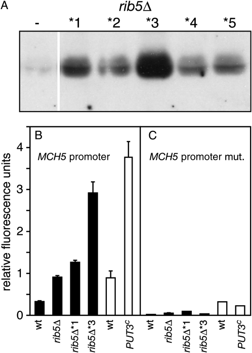 Figure 2.—