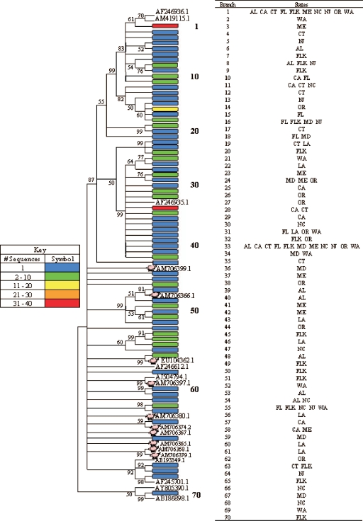 FIG. 1.