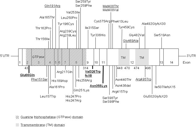 Figure 5