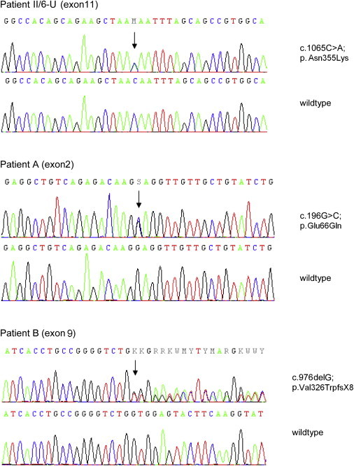 Figure 3