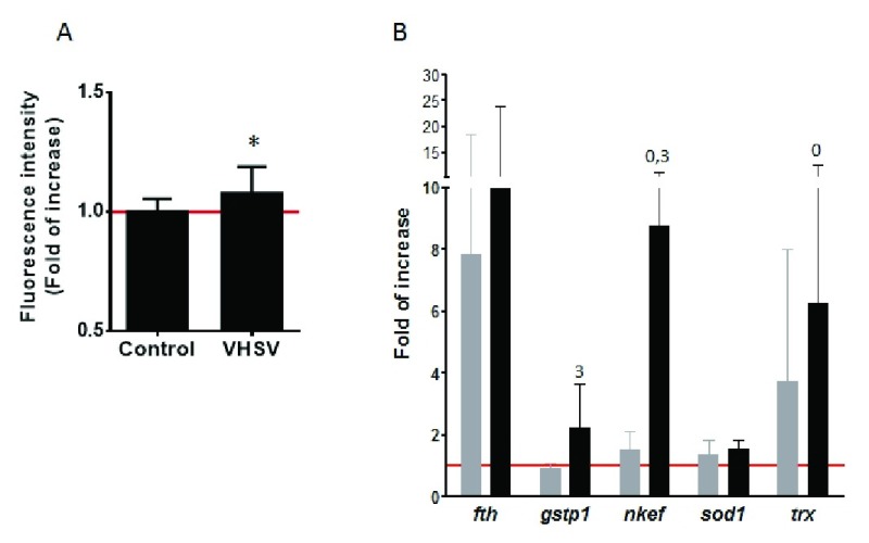 Figure 10. 