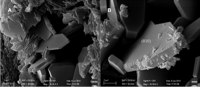 Figure 7