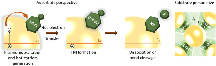 Scheme 1