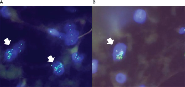 Figure 3