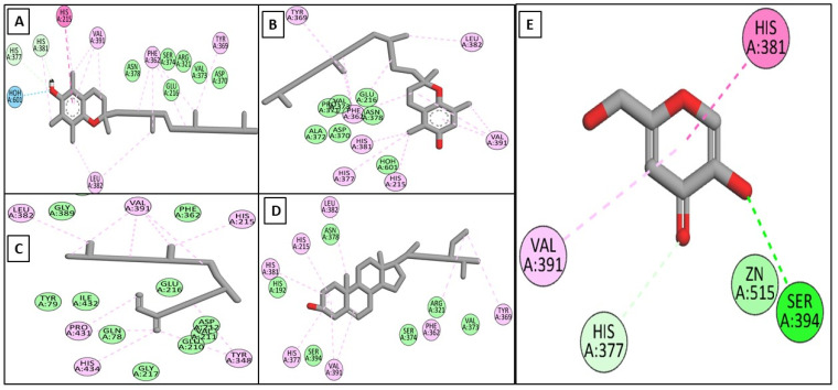 Figure 7